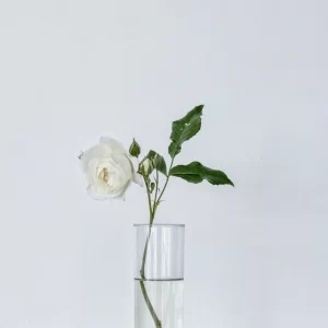 Glass Vase